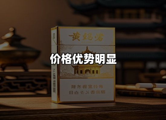 专业优势